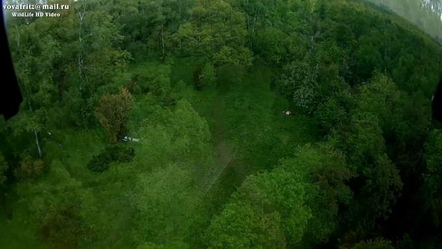 Главный ботанический сад РАН DRONE