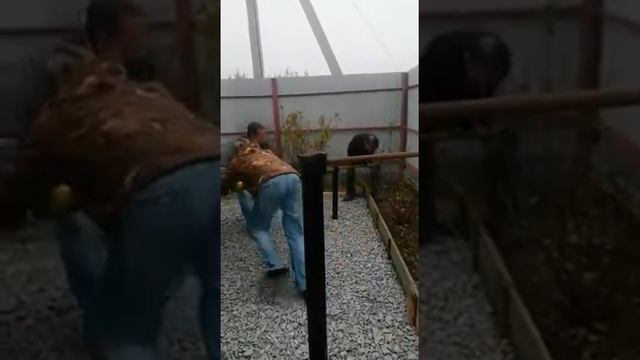 Закручивание винтовых свай смотреть онлайн