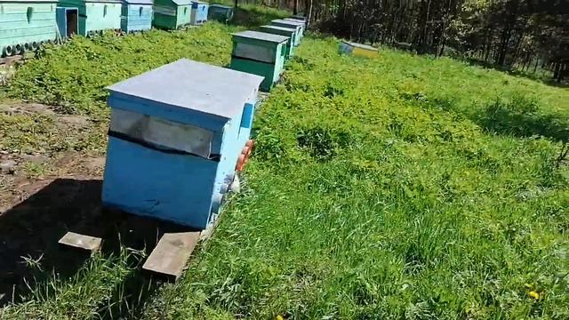 Наконец погода улучшается. смотреть онлайн