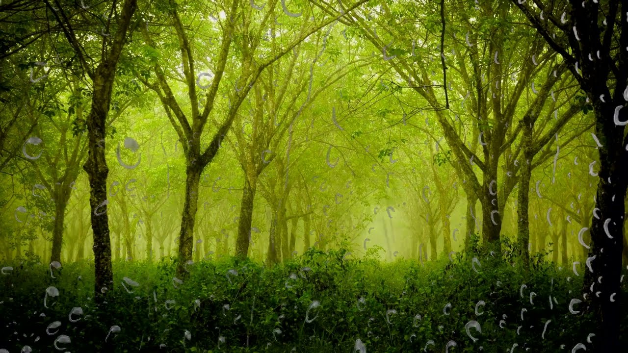 Звук дождя и раскаты грома залипательное видео. Спим сладко Дождь в парке. ASMR Sleep. смотреть онлайн