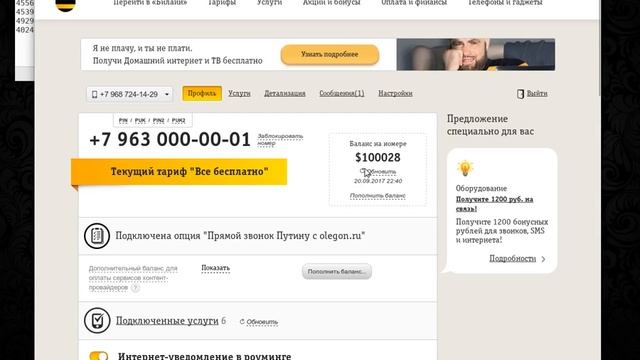 Внешние скрипты кучи сервисов в личном кабинете Билайн смотреть онлайн