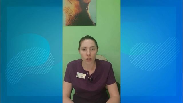 Тонометрия у кошек и собак смотреть онлайн