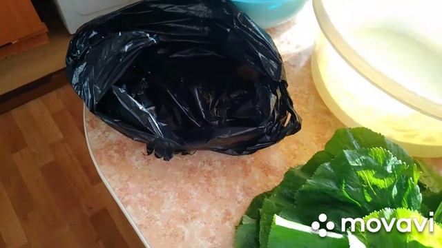 Дела житейские/готовлю кушать/заморозка смотреть онлайн