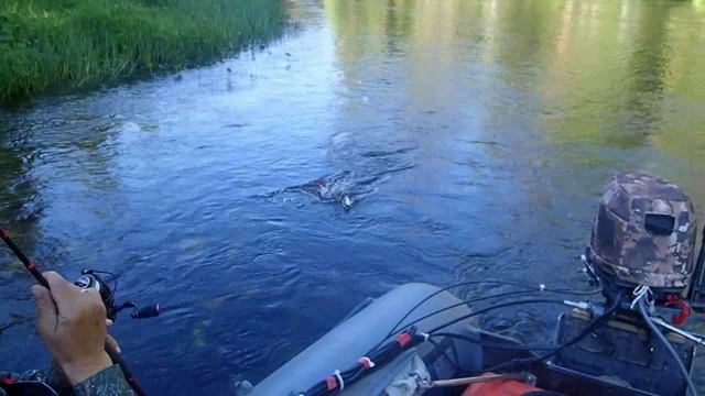 по таёжным рекам в поисках хариуса смотреть онлайн