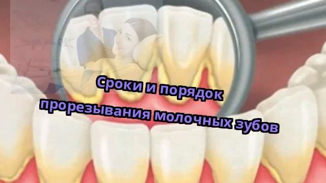 Сроки и порядок прорезывания молочных зубов смотреть онлайн