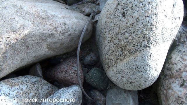 Признаки родия и палладия в речных камнях смотреть онлайн