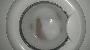 LG WD-80490S // стирка куртки