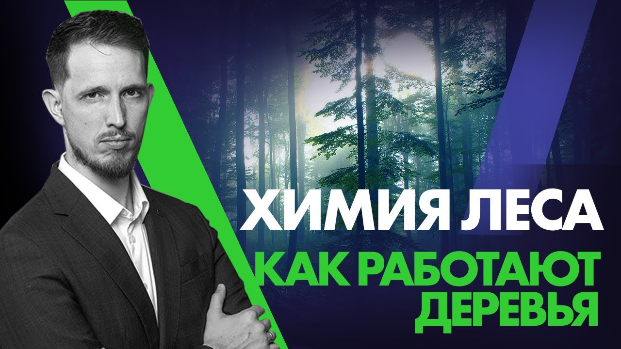 Химия леса. Как работают деревья смотреть онлайн