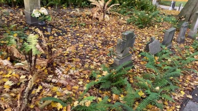 САМОЕ СТАРОЕ КЛАДБИЩЕ ПОЗНАНИ/Чего Нельзя Дарить В Польше/ День Всех Святых в Польше смотреть онлайн