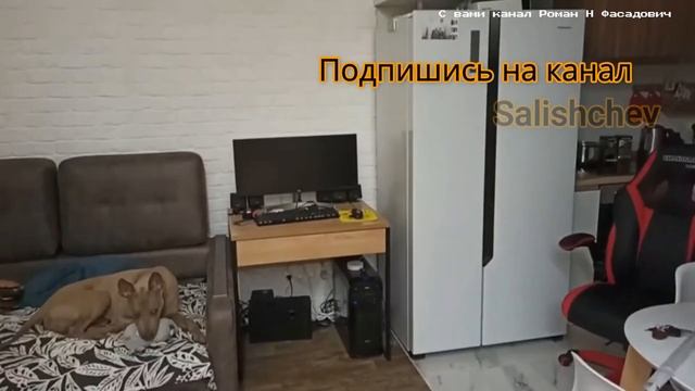 Лофт перегородки из реек, зонирование пространства, лофт декор квартиры, крепления из труб смотреть онлайн