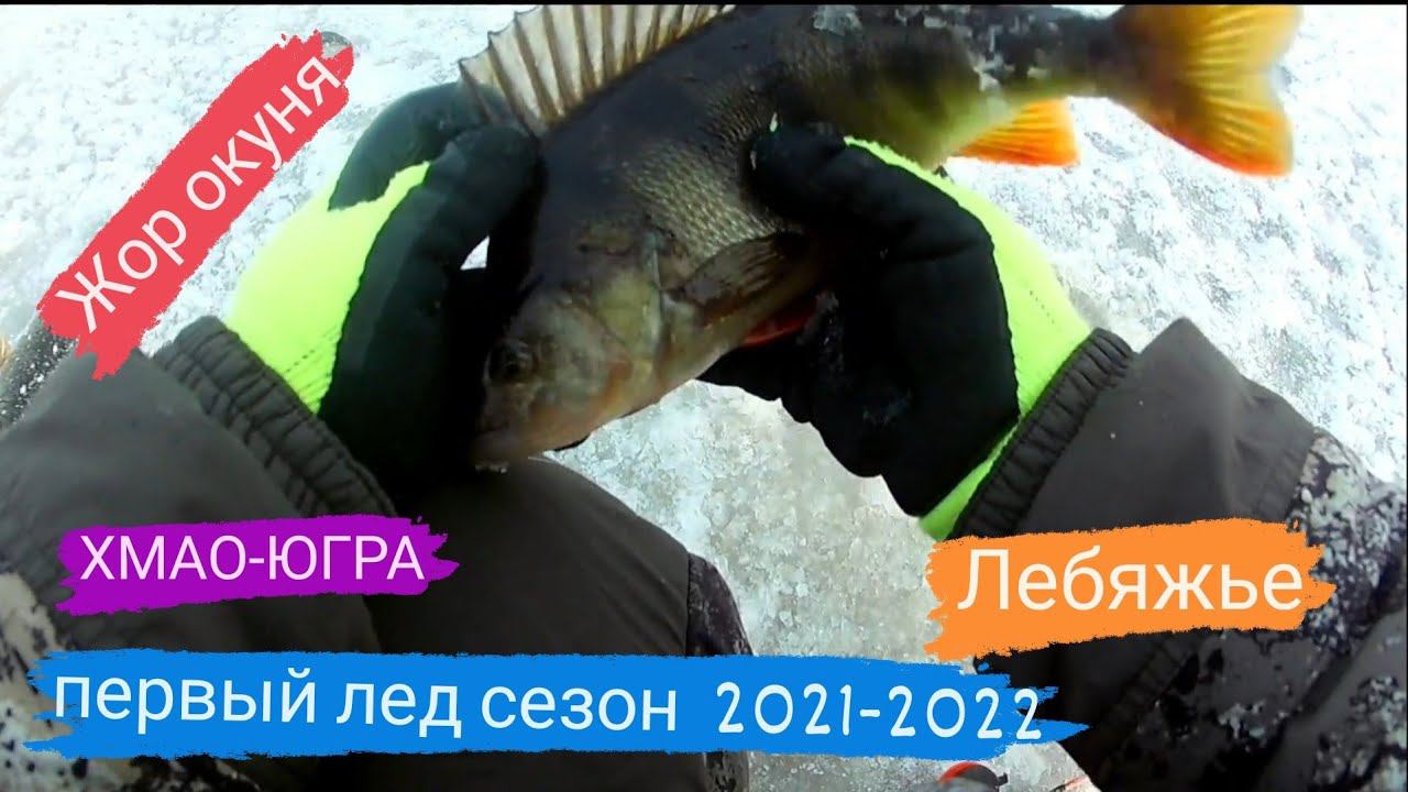 ПЕРВЫЙ ЛЁД озеро Лебяжье #рыбалкавсибири #зимняярыбалка смотреть онлайн
