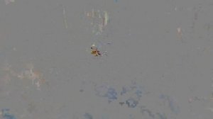 [4K] Outbreak Island: Pendulum прохождение на русском и обзор ? Игра про выживание