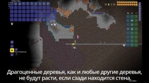 Ферма Драгоценных Деревьев в Террарии! / Террария Гайды! /#terraria