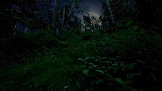 Night Sky Time Lapse 🌕 ASMR Ambience Of Nature Sounds
