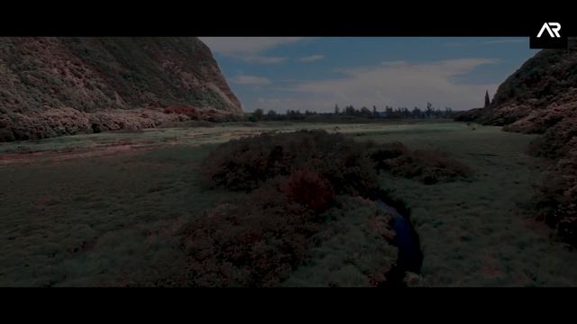 Free Luts Pack Cinematic | Adobe Premiere Pro & Photoshop смотреть онлайн