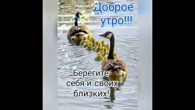 Доброго утра!