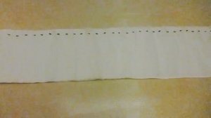 Астры в "Улитке". шаг 1.