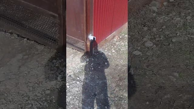 Распашные ворота с автоматикой Nice wingo 5000