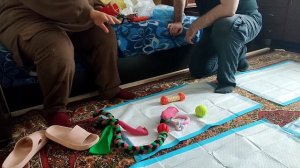 2. Приезд домой щенка немецкой овчарки. 3.03.2024 год