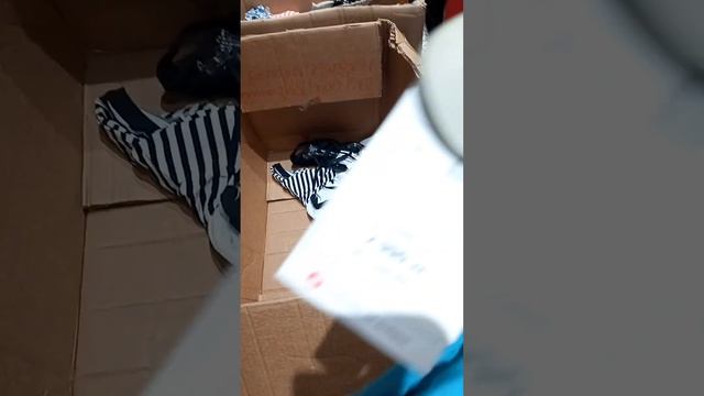 4905 смотреть онлайн