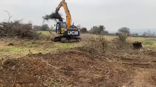 jcb js 130 grab clearing ground