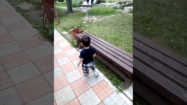 С сыном у меня на работе база отдыха сказка