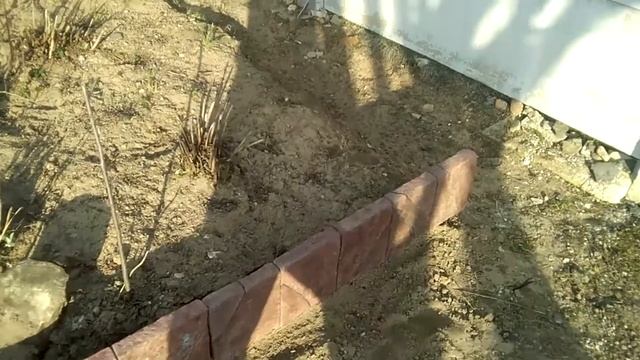 бордюры для сада