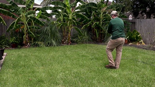 Patch Pro Fungicide: Product Review смотреть онлайн