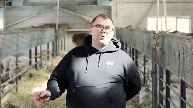 О ферме Золотой петушок смотреть онлайн