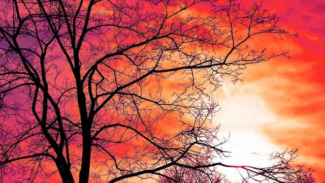 Lavender Sky смотреть онлайн