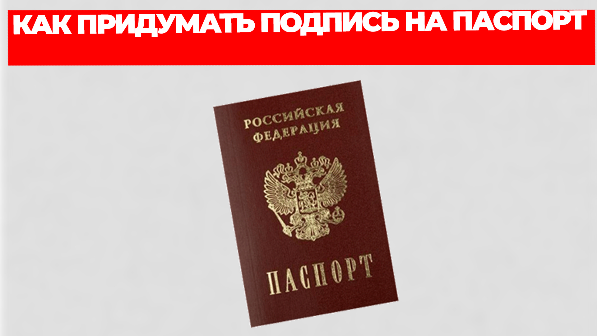 Всезнающий Енот