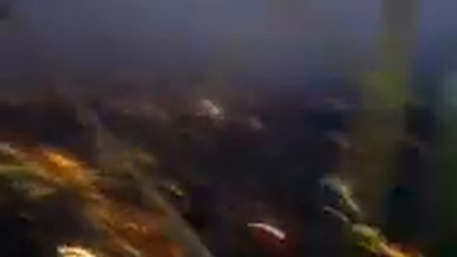 эйфилева башня.3gp смотреть онлайн