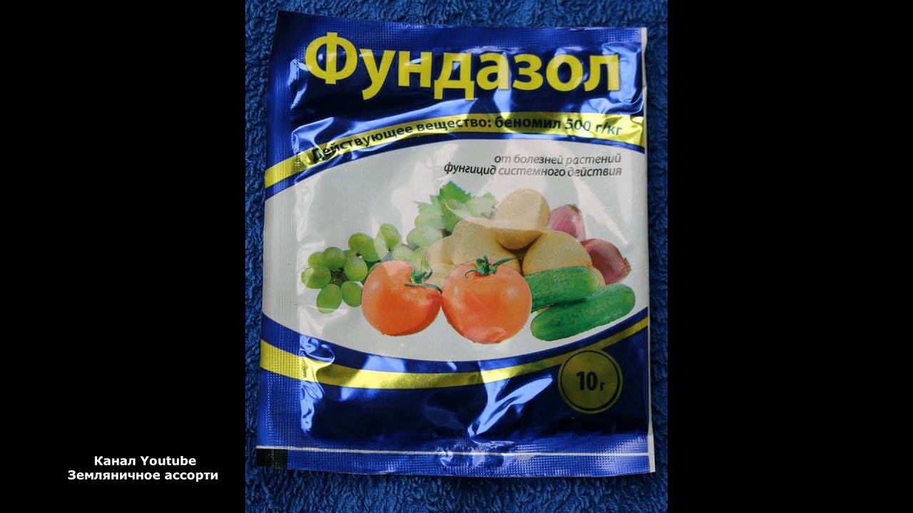 ОСТОРОЖНО ОПАСНОСТЬ !!! ФУНДАЗОЛ , ЧТО НЕОБХОДИМО ЗНАТЬ О ФУНДАЗОЛЕ смотреть онлайн