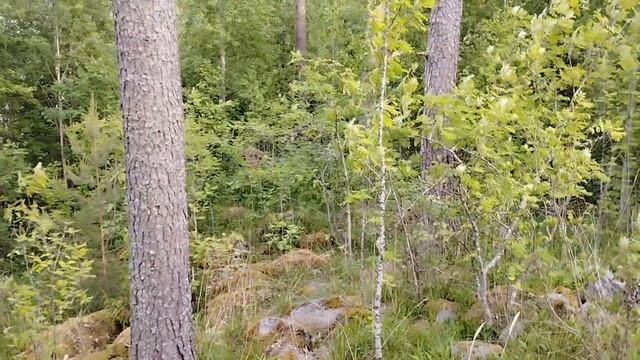 Озеро Вуокса, июнь 2023 смотреть онлайн