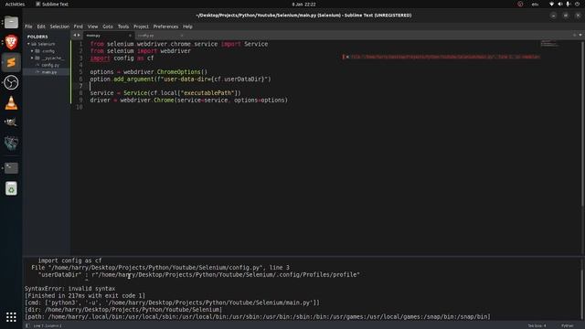 Python || Selenium Browser Automation #2: how to create permanent user profile смотреть онлайн