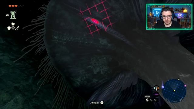 Zelda Tears of the Kingdom #24 : DIRECTION LE DONJON ! смотреть онлайн