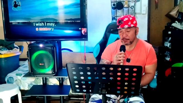 V2S Partybox 1000/ wireless karaoke cover song... Lovers Moon смотреть онлайн