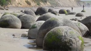 НЕРАЗГАДАННЫЕ ТАЙНЫ ПРИРОДЫ