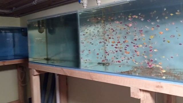 Обзор разводни Новое оборудование для разводни