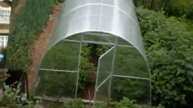 Ролик Теплица 15 сек WM9 512 Download PAL смотреть онлайн