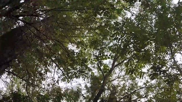 ВЛОГ#1: 1-ая поездка на остров. Встаю на вэйк за катером смотреть онлайн