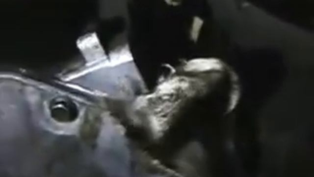 Замена сцепления opel vectra b - без полного съема коробки смотреть онлайн