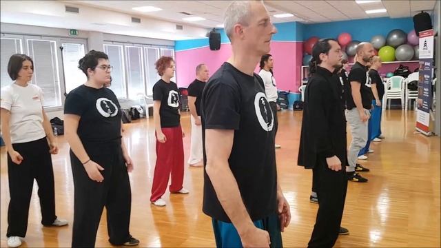 Wu Qin Xi - Five Animals Qi Gong - 五禽戏 气功 - Professional Course - Master Giuseppe Paterniti Lupo смотреть онлайн