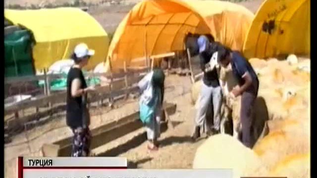 Власти Турции объявили о семи выходных днях в честь Курбан айта смотреть онлайн