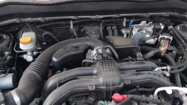 Запуск мотора FB20A Subaru Forester SJ5 2013 год смотреть онлайн