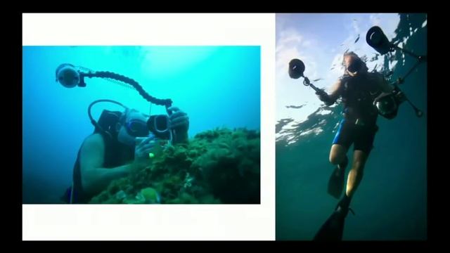 Curso Un año de fotografía. Sesión 1: Introducción смотреть онлайн