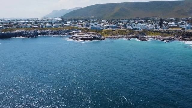 Ep4 Hermanus - Is This The Coolest Place In Hermanus? смотреть онлайн