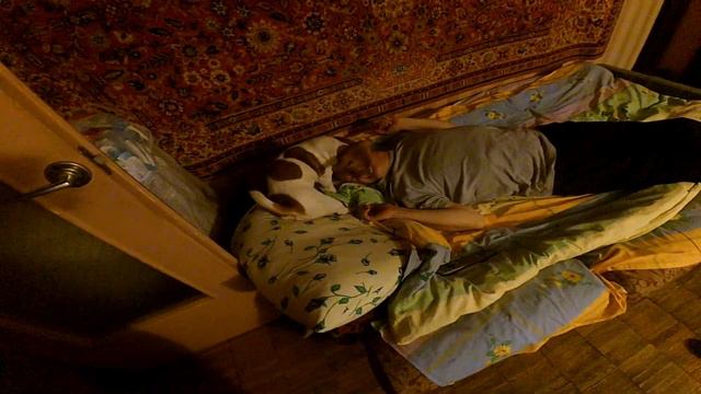 парам пам пам смотреть онлайн