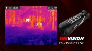 Тепловизионный монокуляр Hikvision DS-2TS03-25UF/W. Кабан и лоси.