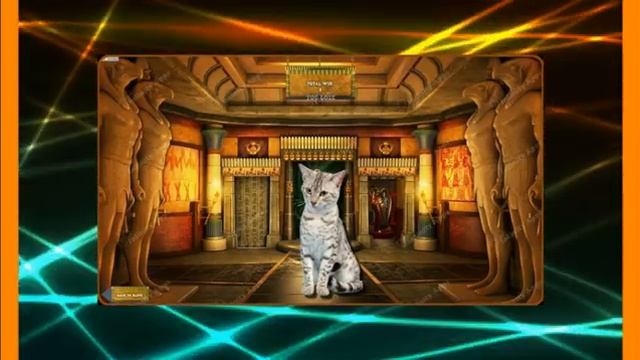 Самая редкая порода кошек «Египетская Мау». смотреть онлайн